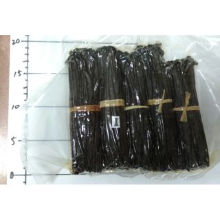 馬達加斯加香草莢 12+- cm~ 16+-cm 50克