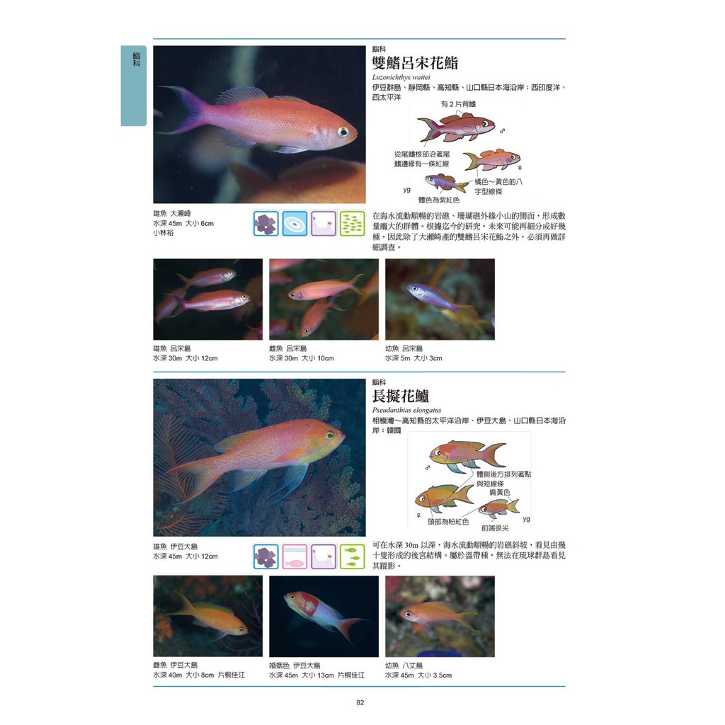 海水魚圖鑑 蝦皮購物