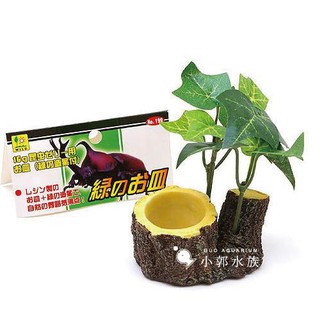 小郭水族-甲蟲館-日本 SANKO【樹頭造型果凍臺(16g專用)】食盤 /皿 甲蟲 獨角仙 鍬形蟲 大兜蟲