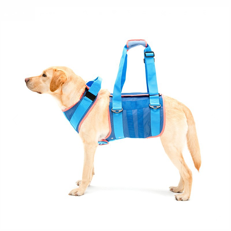 Lalawalk大型犬 中型犬 步行輔助帶輔助衣 清涼網布 老犬 輔助用品 寵物介護 蝦皮購物
