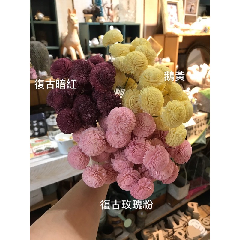 迷你索拉乒乓菊 通脫木心編織 手工花 鐵絲梗哦 手工編花 擴香花 10朵 不混色 95元 請務必參考完以下商品描述喔 蝦皮購物