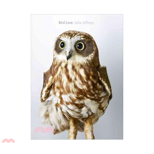 Bird Love