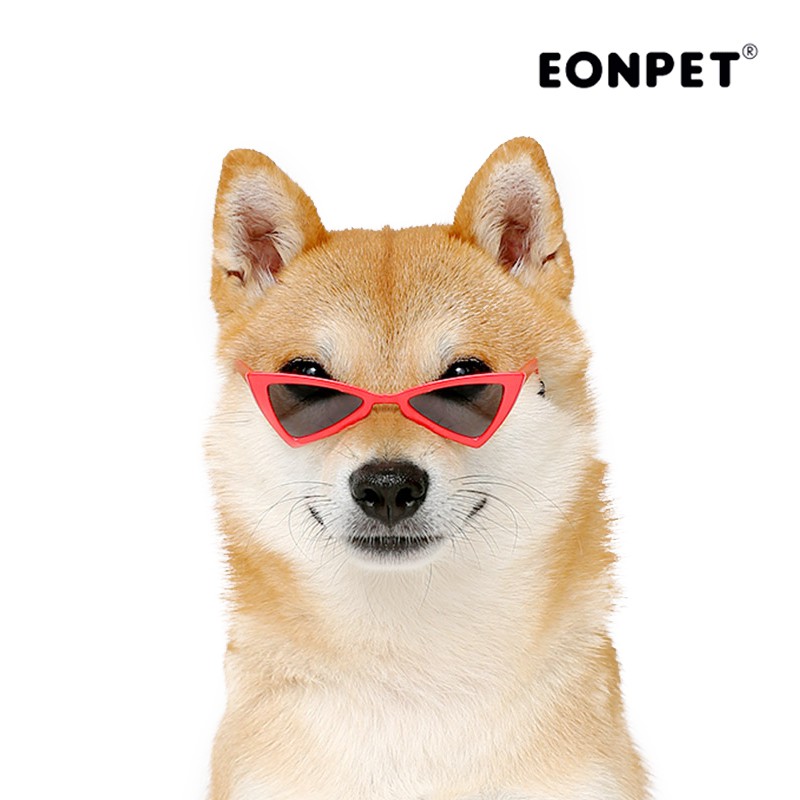 Eonpet 三角墨鏡眼鏡太陽眼鏡寵物墨鏡犬用墨鏡墨鏡寵物用玩樂配件出遊配件帥氣服飾配件狗狗眼鏡 蝦皮購物