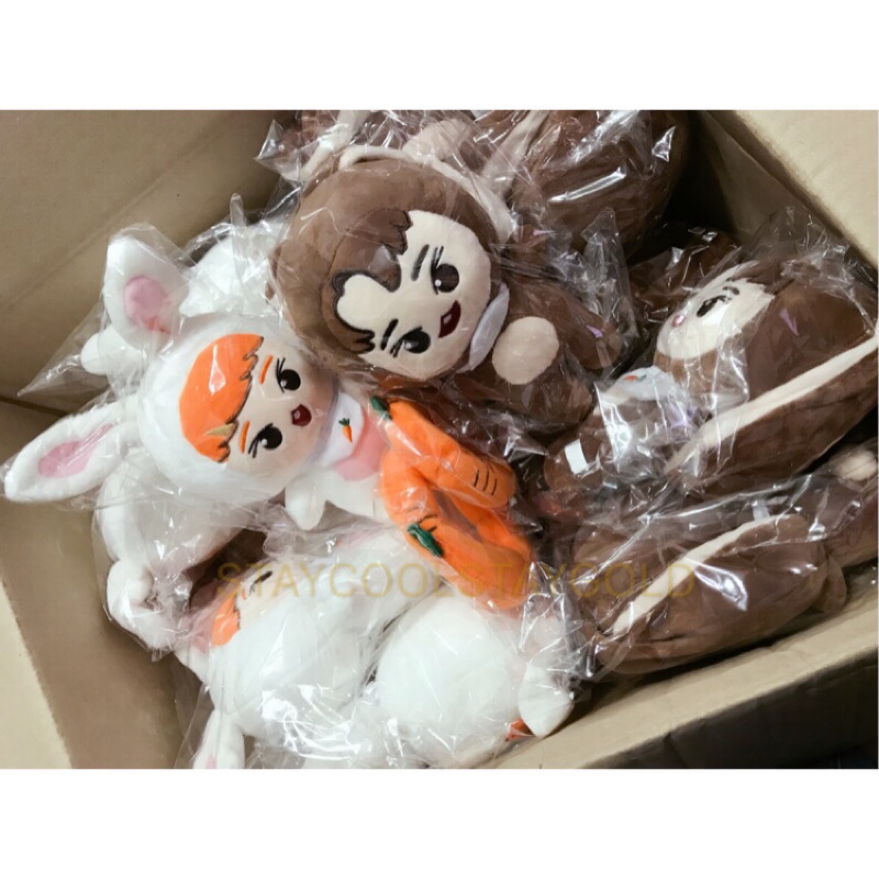 現貨 NCT 道英兔娃娃配件 胡蘿蔔泳圈