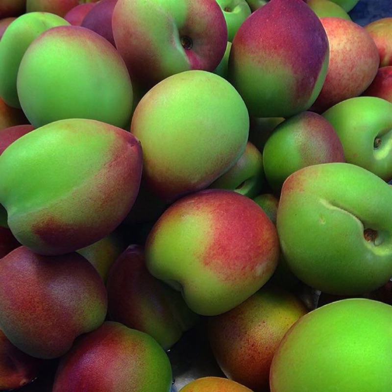 鮮醃脆桃 屏東30年老店 脆的無限 水果攤獨家口味 蝦皮購物