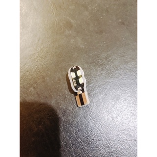 後備箱燈 尾箱燈 行李箱燈 W5W T10 LED 12LED 白光