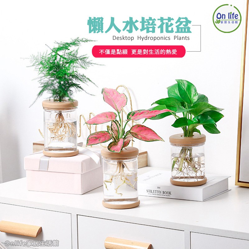 透明栽培盆的價格推薦 21年11月 比價比個夠biggo