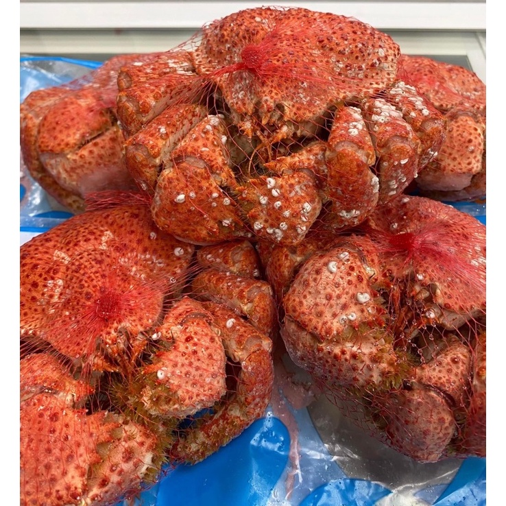 熟凍南極 雪蟹（大隻）每隻400/500g鮮甜多汁（帝王蟹）
