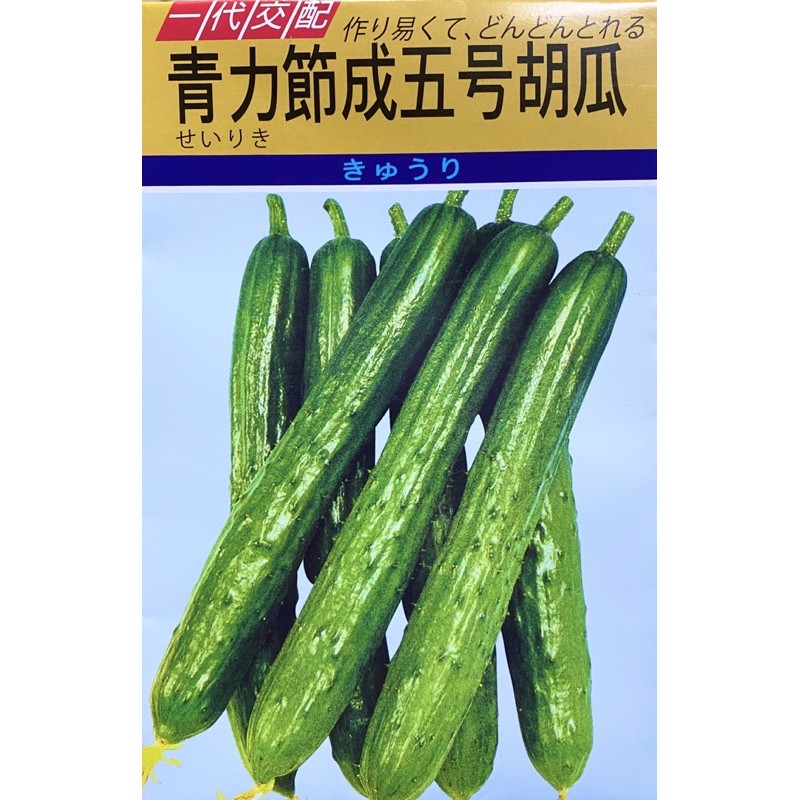 ［大信農產行］日本青力小黃瓜 青力五號胡瓜  種子每包1公克