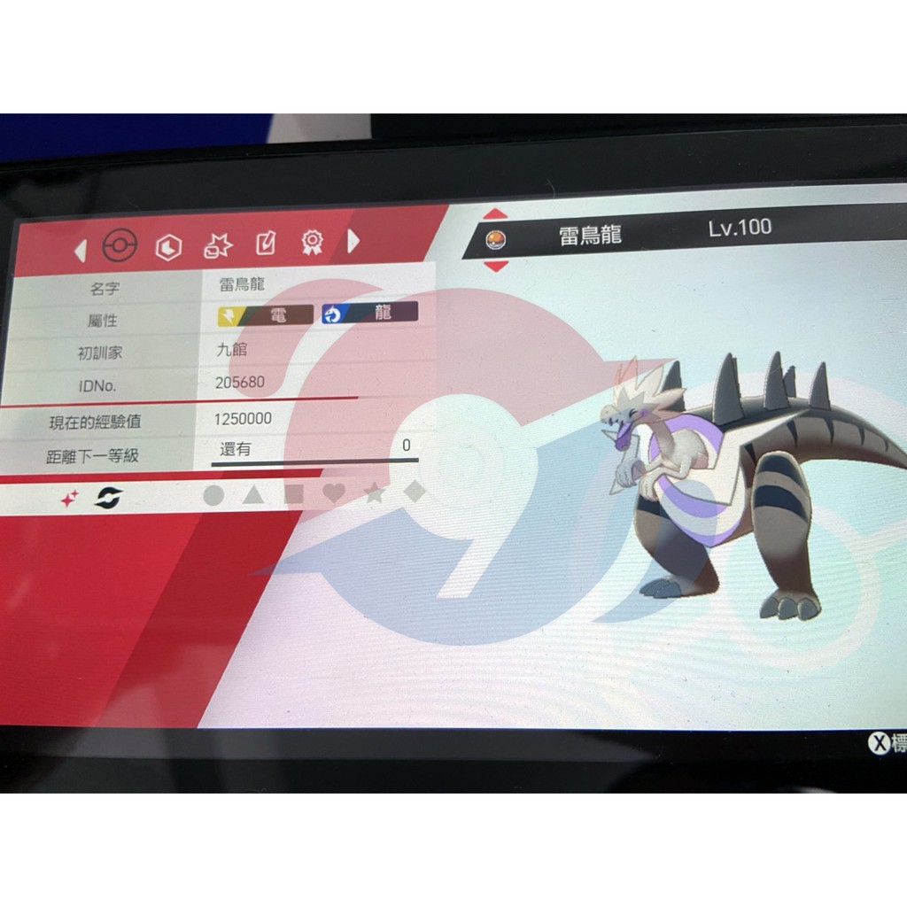 劍盾 異色化石雷鳥龍雷鳥海獸鰓魚龍鰓魚海獸