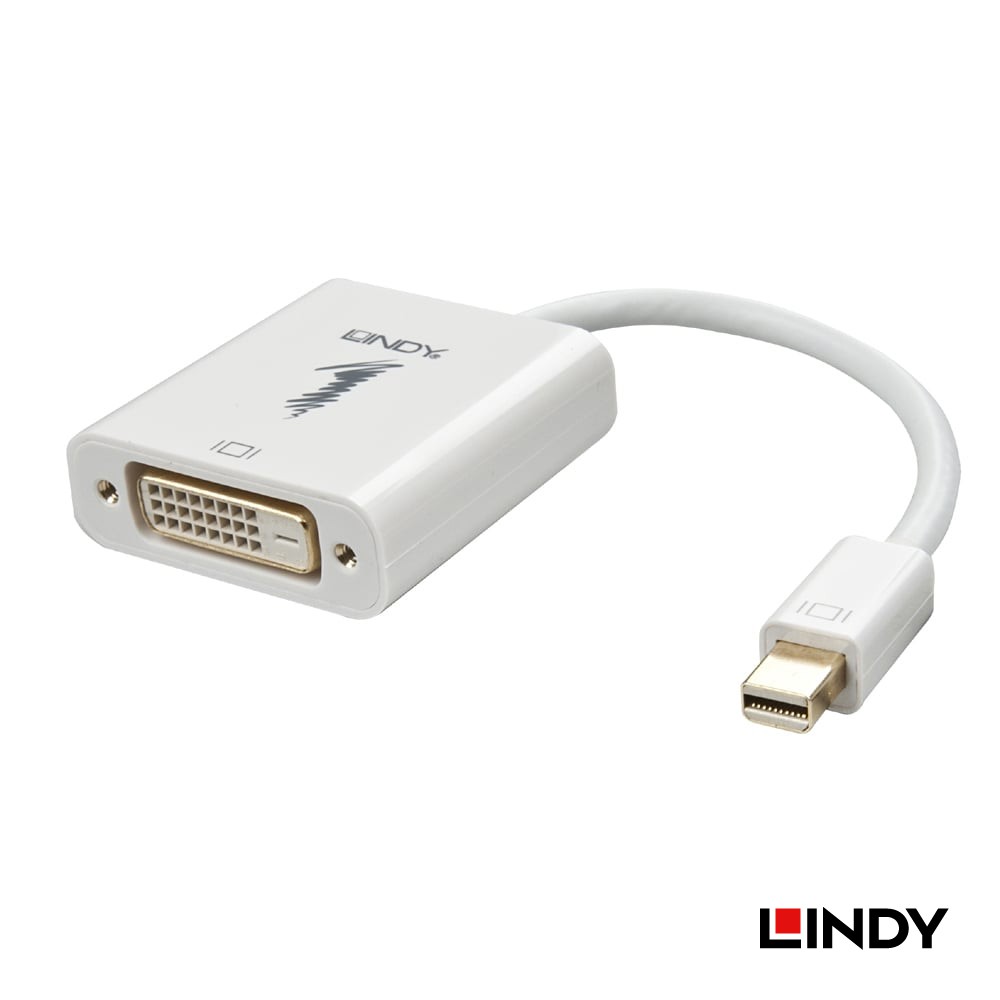 LINDY 林帝 41733 - 主動式 MINI DISPLAYPORT 轉 DVI 轉接器 大洋國際電子