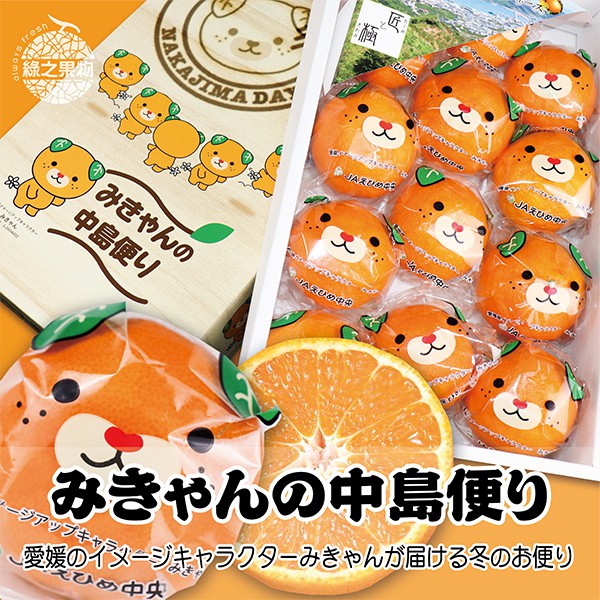 綠之果物 日本愛媛縣中島便無籽蜜柑 12玉 蝦皮購物