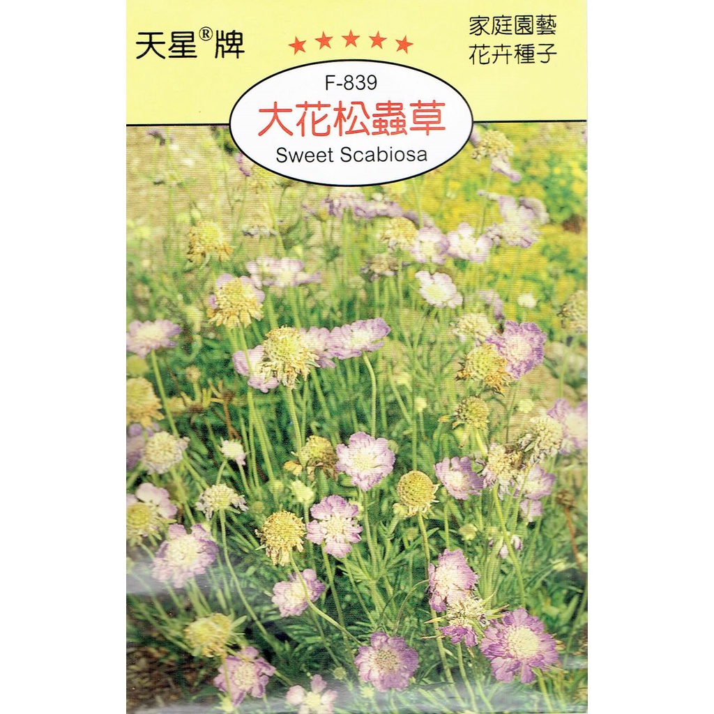 第1位獲得！】 スカビオサの種 西洋松虫草 切り花用混合 実咲小袋 megjc.gov.jm