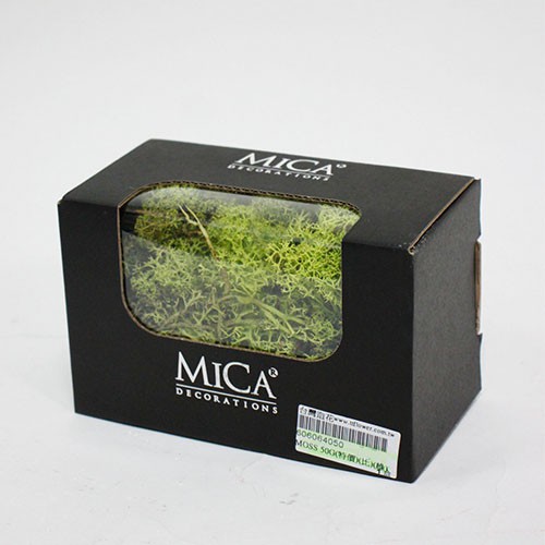 不凋花 Moss 50g 永生花水草苔蘚插花用品花藝設計可搭人造花乾燥花 蝦皮購物