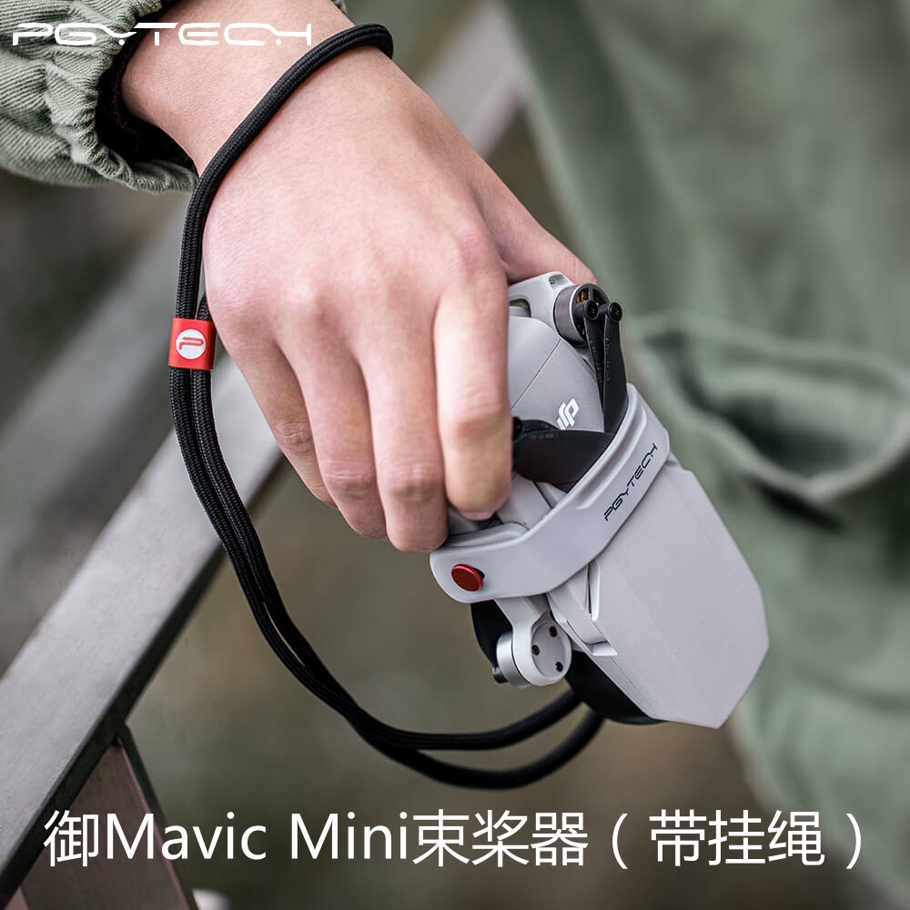 （現貨）PGYTECH禦mavic mini /MINI 2/SE 束槳器 槳葉固定槳器用於dji大疆禦mini配件