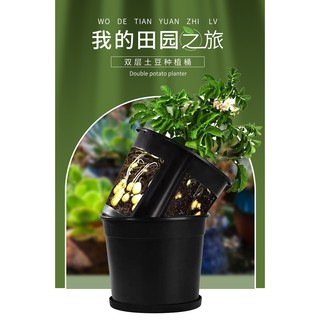 大號滿款 內盆+外盆 可視土豆種植盆紅薯花生生薑種植盆花盆盆種蔬菜的容器家用土豆種植盆種植桶室內陽臺蔬菜種菜盆神器盆
