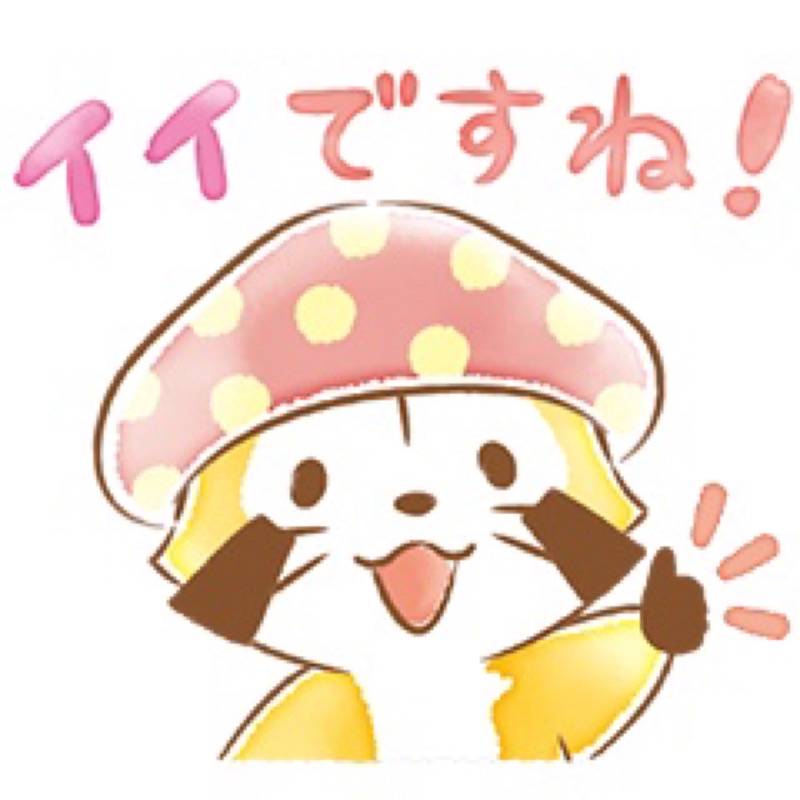 Line日本 貼圖小浣熊rascal Autumn Keigo Stickers10 14 蝦皮購物