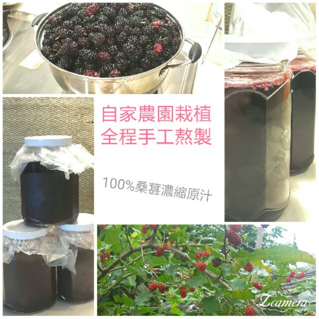 《手作 現貨》100%桑葚濃縮原汁 手工自製 天然果汁 有機果乾健康 夏季涼飲品