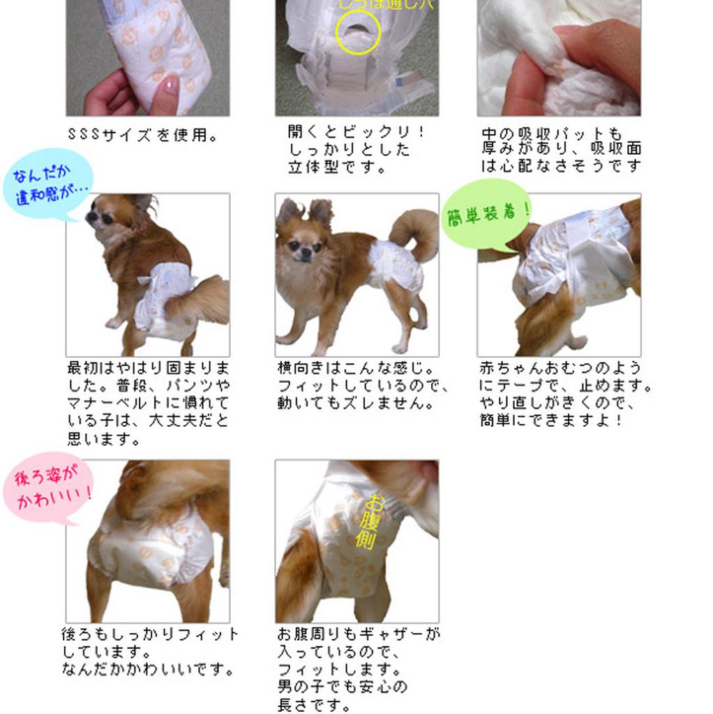 日本inuneru 3 5 6公斤寵物尿布 S號狗而爽免洗生理褲紙尿褲 外出坐車 生理期 蝦皮購物