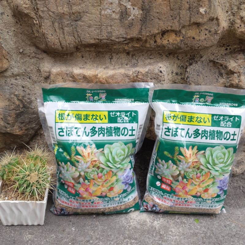 多肉植物の土 サボテンの土 多肉植物用土 塊根植物の土 Bookteen Net
