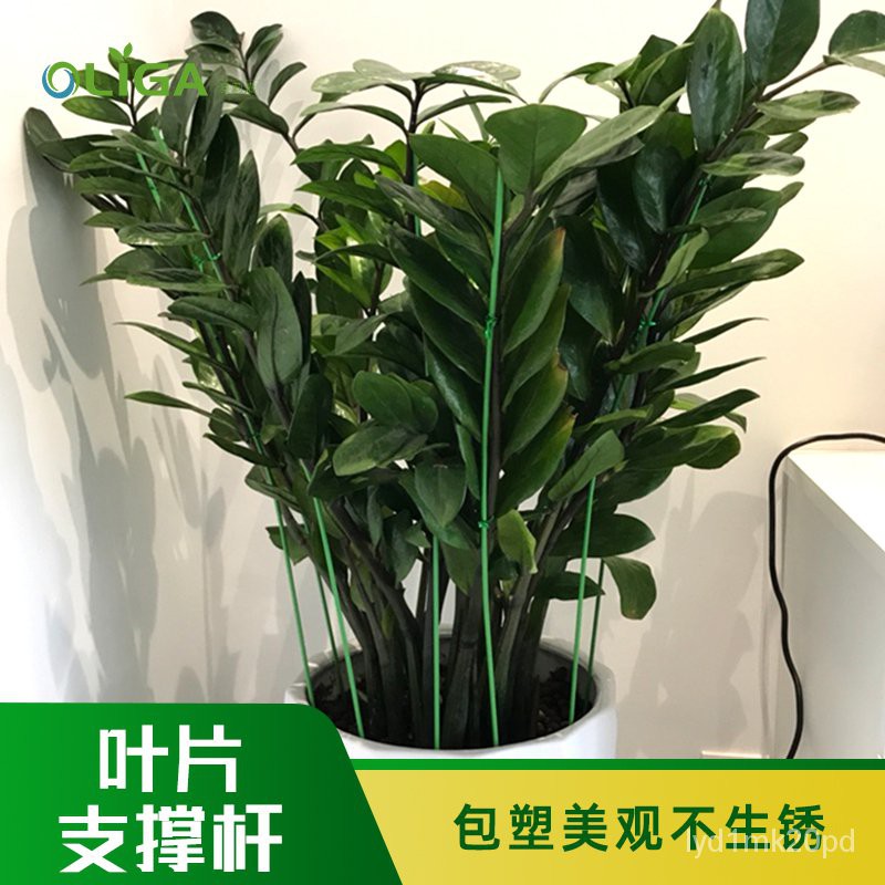 花卉造型鐵絲植物支柱桿鐵線藤蔓支撐園藝支架拱形造型鐵桿爬藤桿 蝦皮購物