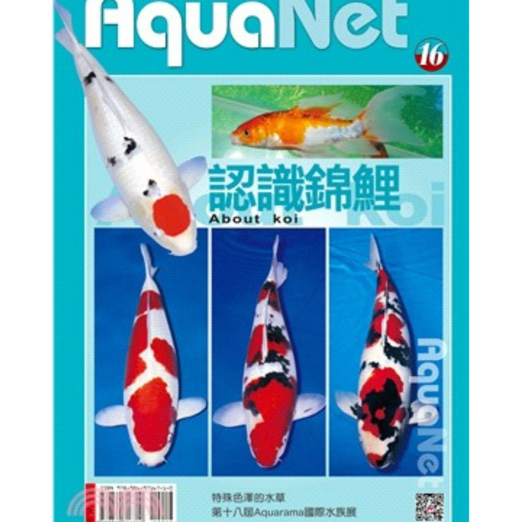 現貨 認識錦鯉 錦鯉基本知識 Q3 蝦皮購物