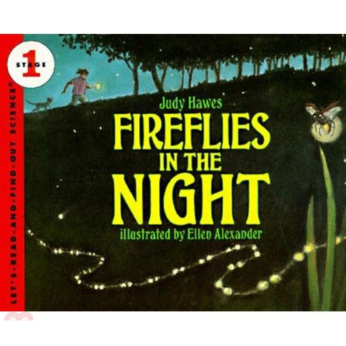Fireflies in the Night
