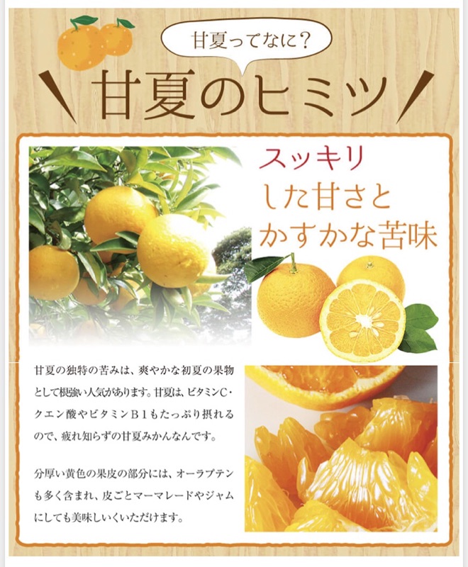季節限定 熊本甘夏橘子果凍2入 蝦皮購物