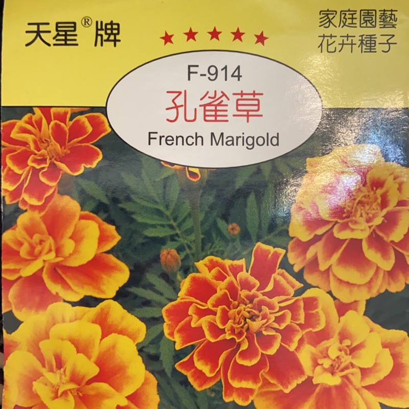孔雀草 優惠推薦 21年4月 蝦皮購物台灣