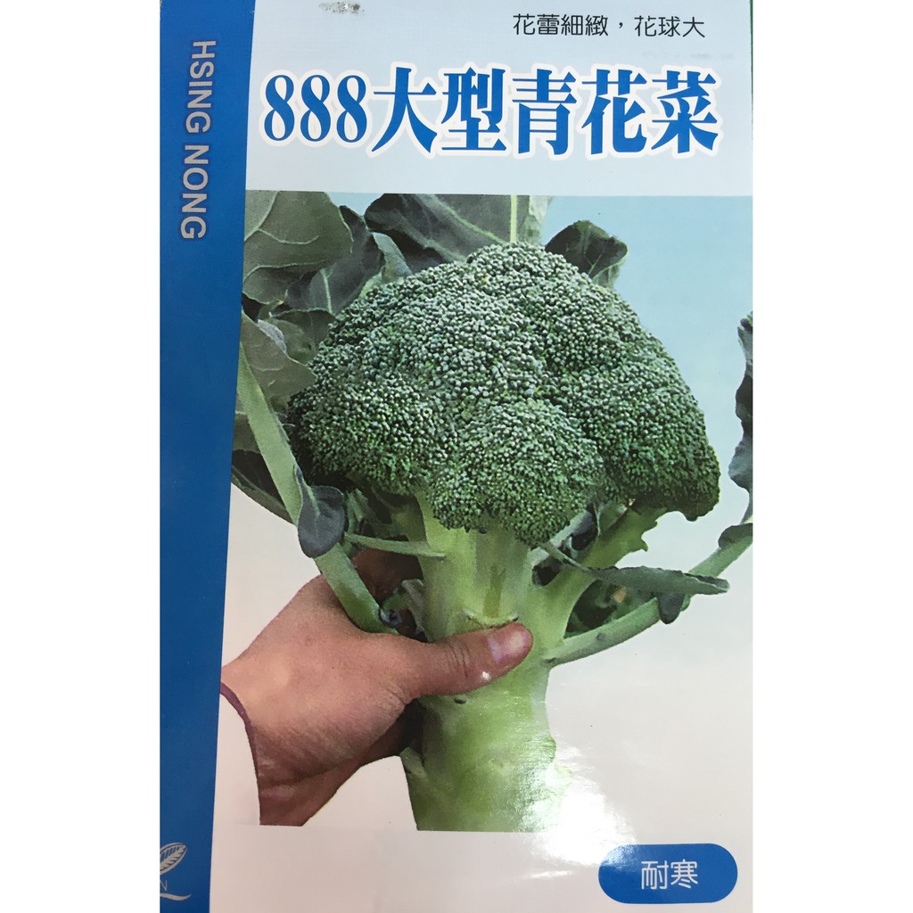 國輝老張 興農8大型青花菜花椰菜種子70元 包 原封小包裝耐寒一代交配種子花蕾細緻側芽極少 蔬菜種子 蝦皮購物