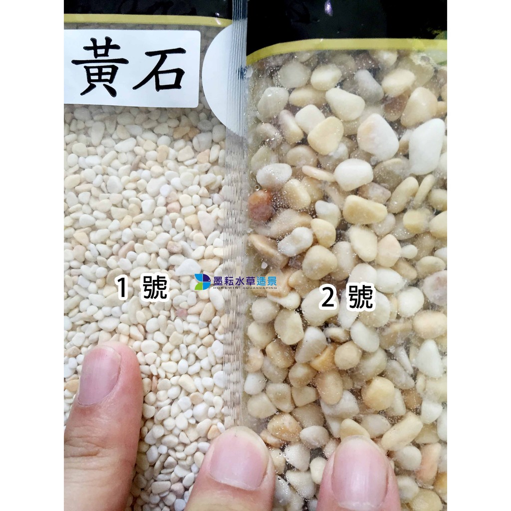 墨耘 水族底砂 杏黃石細砂底砂米白 杏色1號2號 1 5kg 65 蝦皮購物