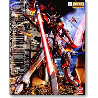 【快樂堂】現貨 BANDAI 萬代 組裝模型 MG 119 巨劍脈衝鋼彈