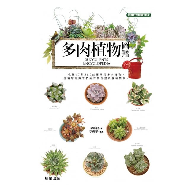 晨星 多肉植物圖鑑 出色閱讀棧 蝦皮購物