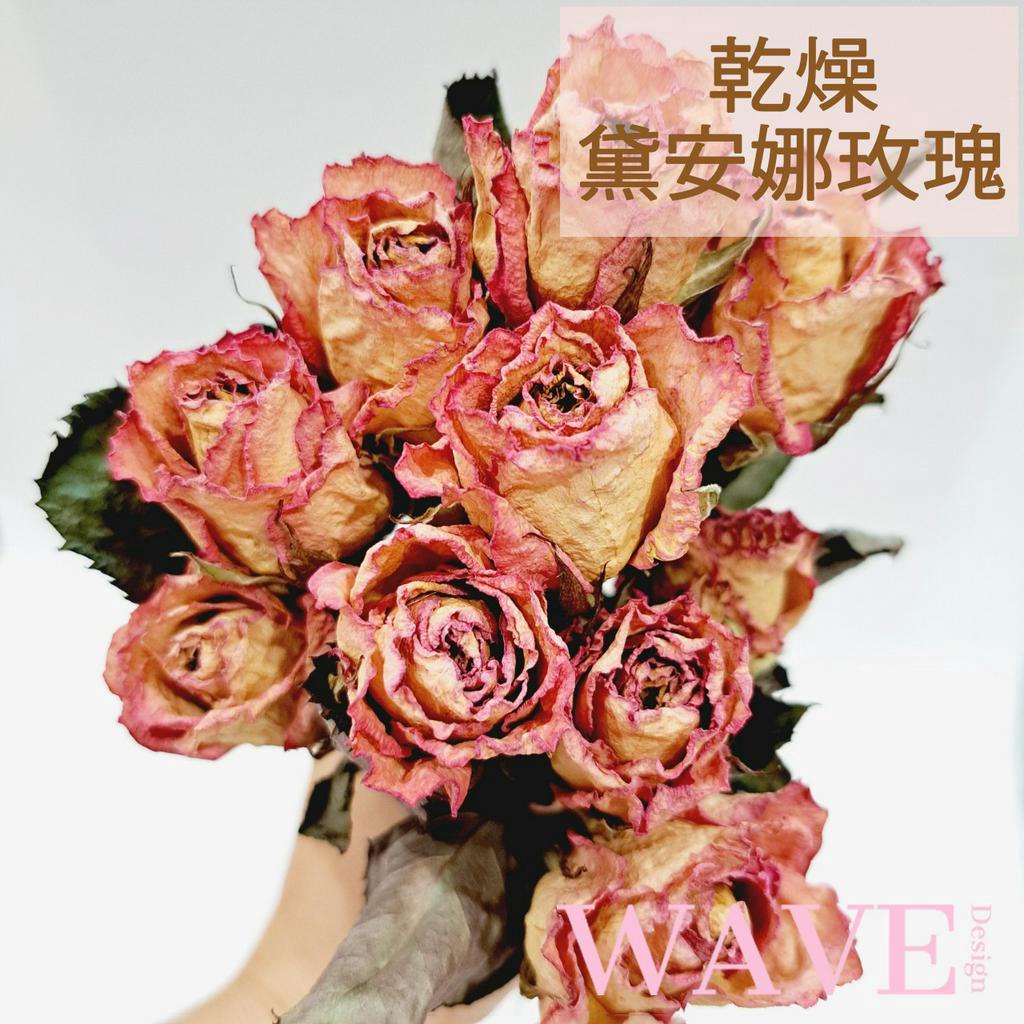 《WAVE Design 》黛安娜玫瑰 粉白漸層玫瑰 乾燥花材 天然乾燥花 花材 花藝材料 拍照道具 永生花 DIY