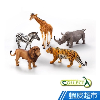 collectA 野生動物禮盒(5入)~英國高擬真模型R84108 廠商直送