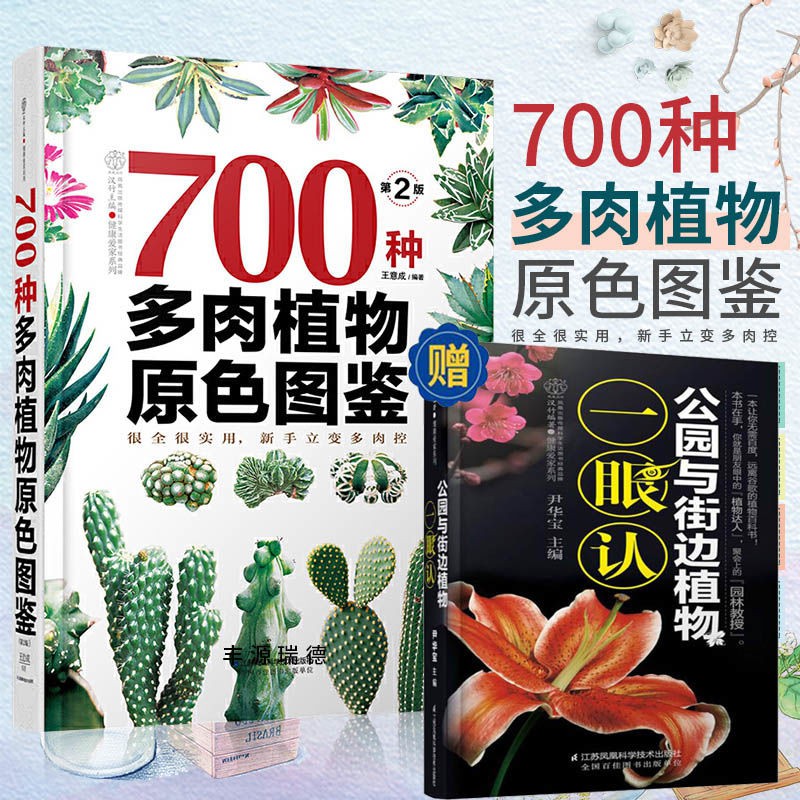 正版新書700種多肉植物原色圖鑒多肉植物盆栽多肉鑒賞養多肉書 蝦皮購物