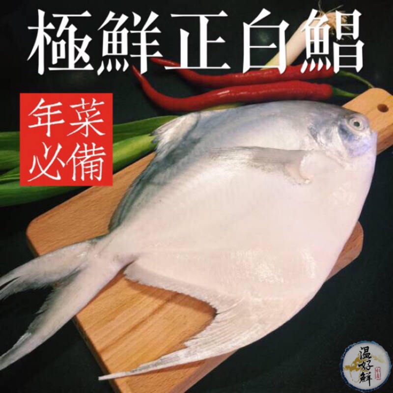 (温好鮮-水產)台灣正白鯧魚 小家庭圍爐最👍好魚 附發票
