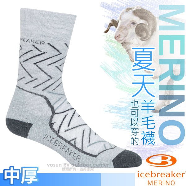 【Icebreaker】女 款保暖避震中筒美麗諾羊毛襪 Phd Hike+ 登山小腿襪 透氣除臭運動襪_IB104437