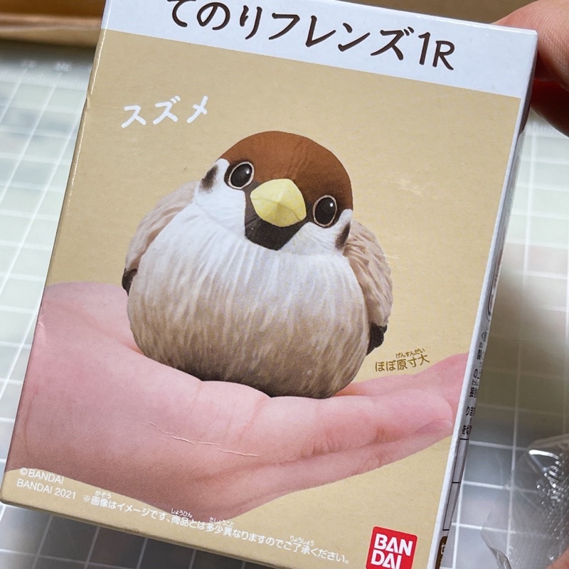 BANDAI 萬代 掌上好朋友 麻雀 小鳥 盒玩 現貨