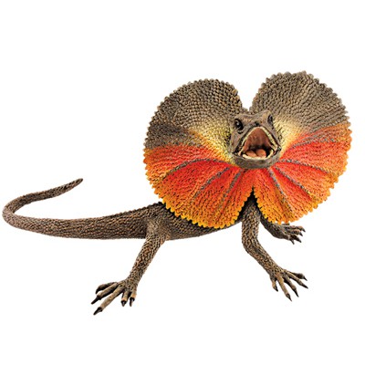 翔寶玩具屋 4d Puzzle 荷葉蜥蜴立體模型拼圖 蝦皮購物