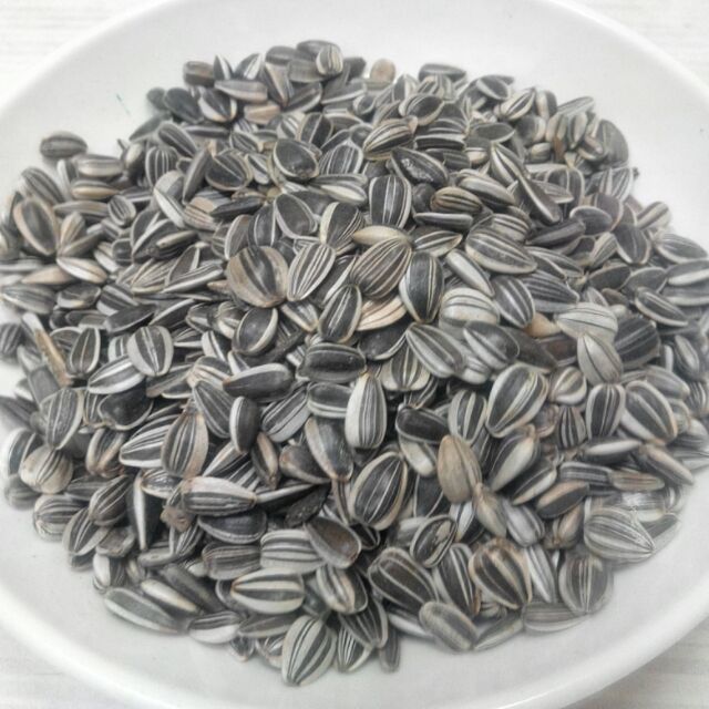 葵花子葵瓜子 Ptt Dcard討論與高評價網拍商品 21年9月 飛比價格