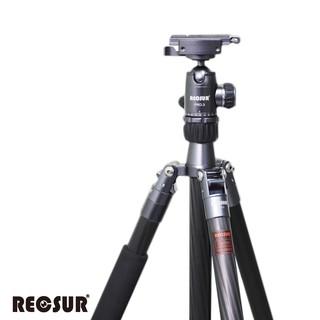 RECSUR 銳攝 PRO-2864CN 碳纖維三腳架 臺腳9號 反折 四節 載重15公斤 [相機專家] [公司貨]