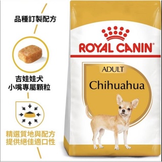 法國皇家吉娃娃成犬 吉娃娃幼犬1.5公斤 3公斤 皇家原裝新貨.