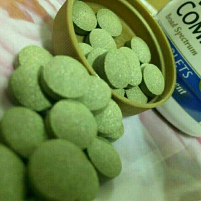 紫花錠紫花紫花苜蓿錠紫花700顆24年到期 蝦皮購物