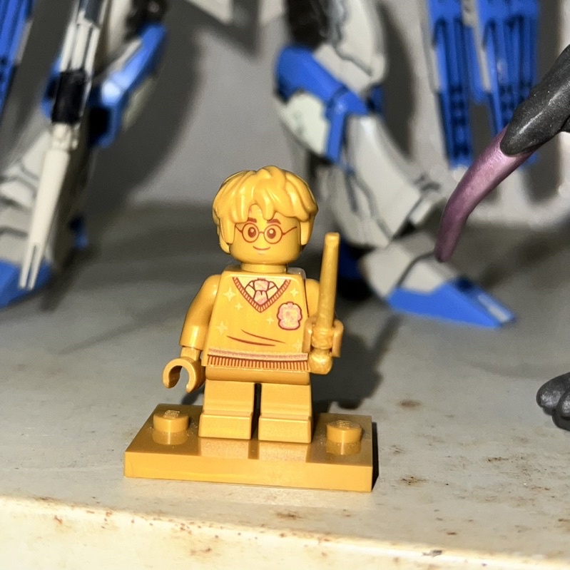 LEGO 樂高 76386 金色二十週年哈利波特 人偶