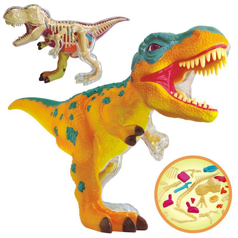 4D Master 恐龍解剖拼裝模型 Q版霸王龍 三角龍 翼手龍模擬動物玩具