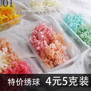 玻璃罩製作 優惠推薦 21年7月 蝦皮購物台灣