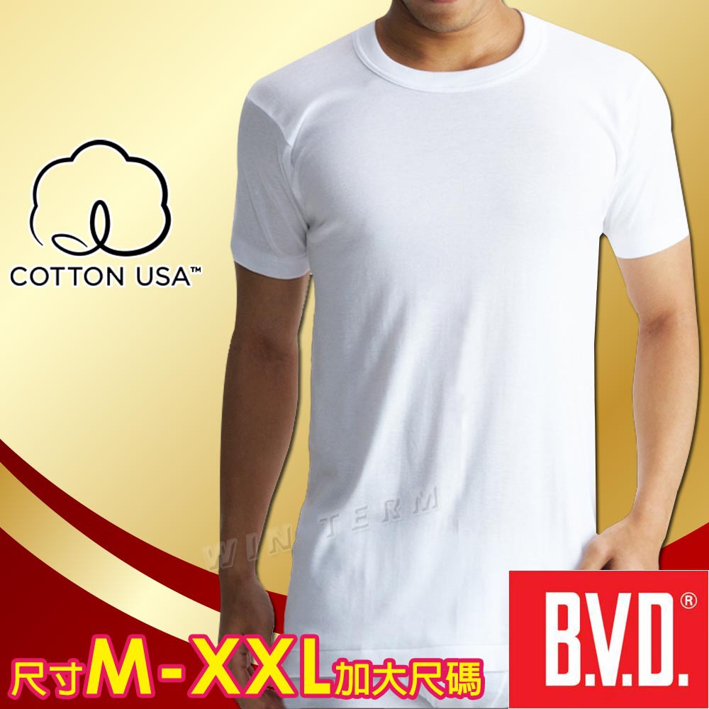 BVD 美國棉100%純棉優質圓領短袖衫-(尺寸M~XXL加大尺碼)BVD男內衣