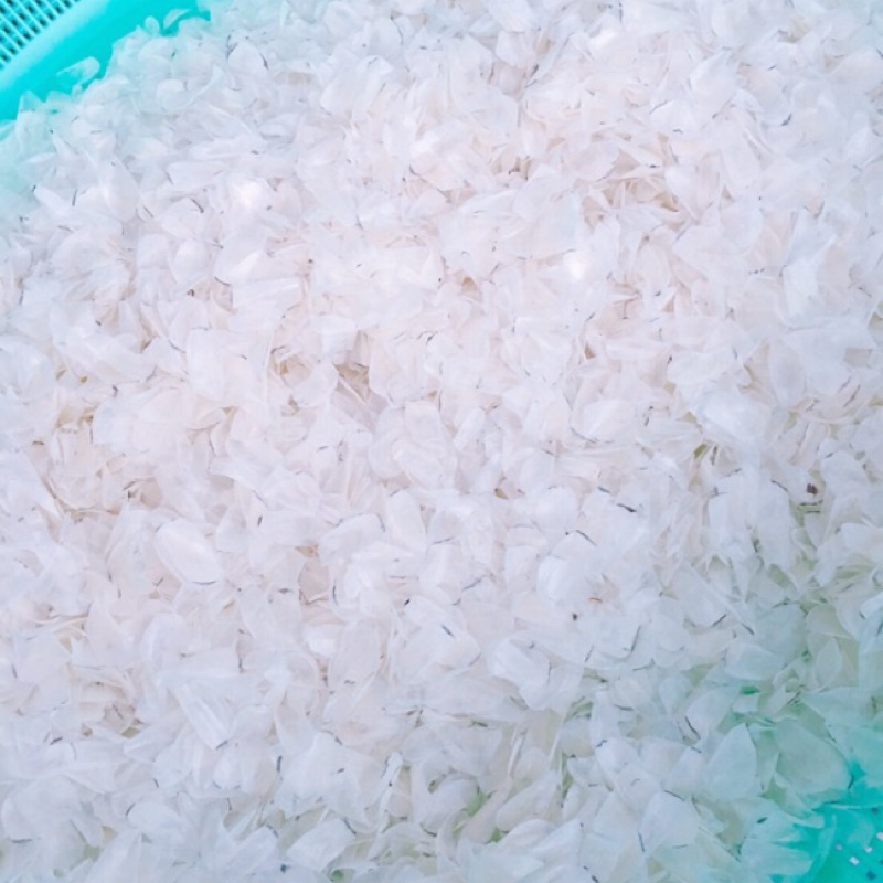 乾燥龍膽魚鱗片1包 一台斤 600克 附檢驗合格報告圖二 魚鱗膠原蛋白乾燥魚鱗片 蝦皮購物