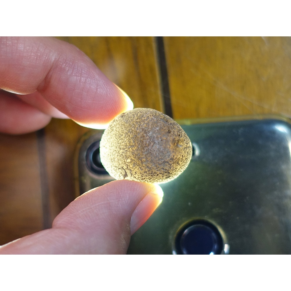 §能量礦石§ 亞利桑那隕石Saffordite Arizona天狼星隕石 重14.34g